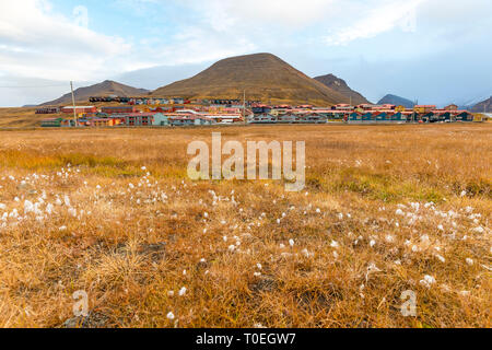 Longyearbyen avec paysage de montagne dans l'arrière, de prairies vertes sur l'île de Svalbard en fin d'automne Banque D'Images
