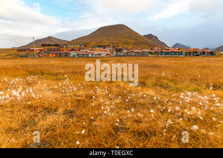 Longyearbyen avec paysage de montagne dans l'arrière, de prairies vertes sur l'île de Svalbard en fin d'automne Banque D'Images