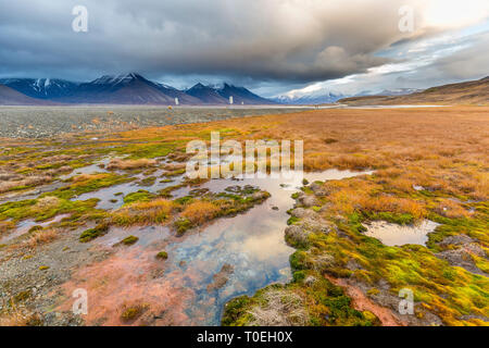 Paysage de montagne Svalbard cloud avec reflets dans l'eau, de prairies vertes sur l'île de Svalbard en fin d'automne Banque D'Images