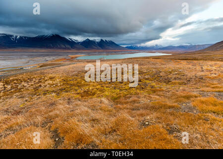 France paysage de montagnes, de prairies vertes sur l'île de Svalbard en fin d'automne Banque D'Images