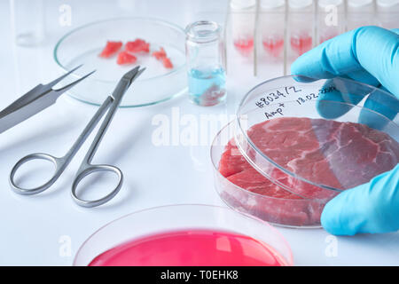 Échantillon de viande en boîte de culture cellulaire jetables en plastique dans un laboratoire moderne ou installation de production. L'étiquette écrite sur le plat a été générée fo Banque D'Images