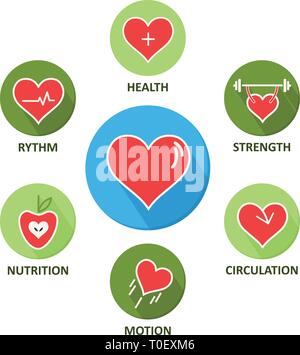Un cœur en santé avec des icônes cercle long shadow. Illustration de Vecteur