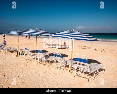 Chaises longues, transats, Pink Sands Beach, Dunmore Town, Harbour Island, Eleuthera, aux Bahamas, dans les Caraïbes. Banque D'Images