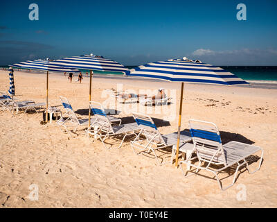 Chaises longues, transats, Pink Sands Beach, Dunmore Town, Harbour Island, Eleuthera, aux Bahamas, dans les Caraïbes. Banque D'Images