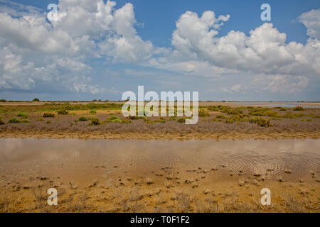 Des dunes, des lacs, des prairies, des prairies et de la végétation alluviale dominent le paysage, l'Étang du Fangassier, Camargue, Provence, Bouches-du-Rhône, France Banque D'Images