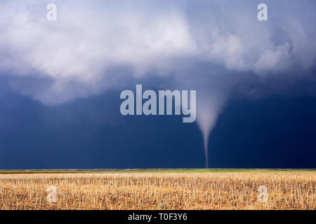 Le torsadeur de tornade se développe à partir d'un nuage de tempête près de Bushnell, Nebraska Banque D'Images