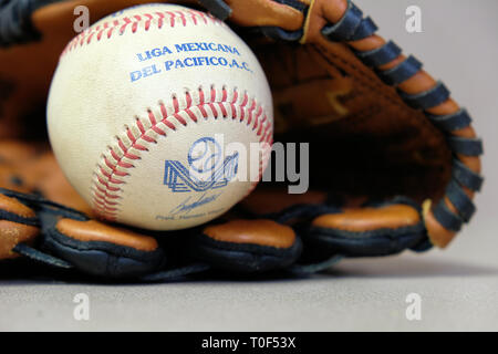 Ballon pris à un match de la ligue d'hiver du Mexique ; Liga Mexicana del Pacifico, le baseball et le gant. Banque D'Images