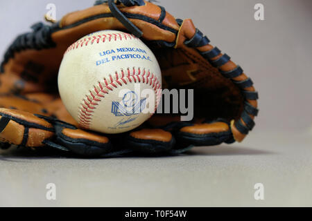 Ballon pris à un match de la ligue d'hiver du Mexique ; Liga Mexicana del Pacifico, le baseball et le gant. Banque D'Images