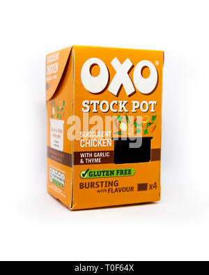 Oxo Orange stock pot fort de poulet succulentes sur un cas isolé sur fond blanc Banque D'Images