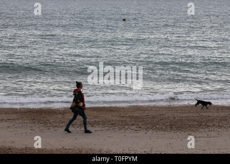 Jeune femme 30 ans promener son chien sur une plage britannique Banque D'Images