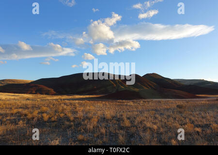 Les magnifiques collines peintes de l'Oregon dans le John Day Fossil jumeaux National Monument, USA Banque D'Images