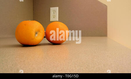 Deux oranges sur un comptoir de cuisine ; un haut orange en décomposition ; un concept ; orange mûre pour passage du temps ou de différence d'âge. Banque D'Images