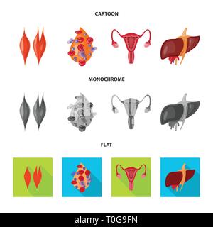 Sang, muscle, foie, organes urinaires,,système digestif,plasma,tissu,cell,vessie,corps,capot,excrétrice,don,femme,la douleur,la maladie,reproduction,sain,,moteur,musculosquelettiques ovaire,artères,striés,pression,utérine,hépatite,contraction,génétique,biologie,scientifique,recherche,,laboratoire anatomie,organe interne,,médical,des,santé,,set,icône,,illustration,collection,isolé,design,graphisme,élément vecteur vecteurs,signer , Illustration de Vecteur