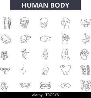 Icônes de ligne du corps humain pour le web et mobile. Signes d'avc modifiable. Corps humain résumé du concept illustrations Illustration de Vecteur