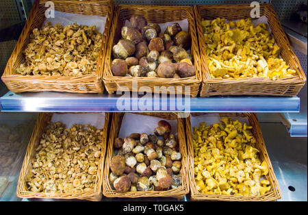Différents types de champignons frais affichés dans des paniers en vente dans une boutique spécialisée. Banque D'Images