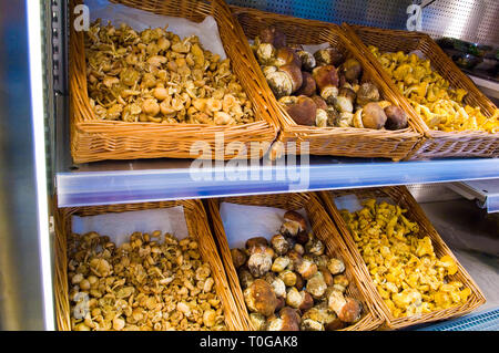Différents types de champignons frais affichés dans des paniers en vente dans une boutique spécialisée. Banque D'Images