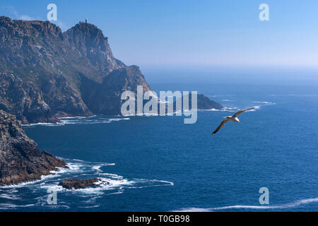 Alto del Príncipe, en regardant vers le sud depuis le Monte das Figueiras (Monteagudo Island), îles Cies, Ria de Vigo, Espagne Banque D'Images