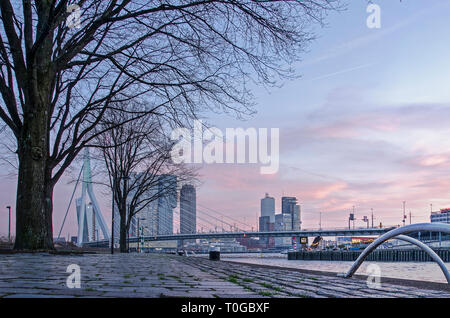 Rotterdam, Pays-Bas, le 13 février 2019 : faible vue du quai de Leuvehoofd avec parc pont Erasmus et sur la rive sud du front un Banque D'Images