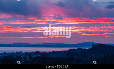 Coucher du soleil, rose nuages sur le lac de Constance (Bodensee) à partir d'une colline, près de Lindau (Allemagne) Banque D'Images