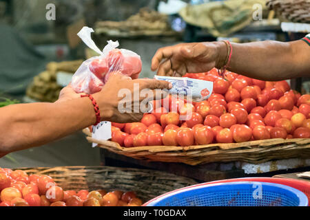 Les paiements en argent de l'acheteur après l'achat de tomates sur le marché de Port-Louis à l'Ile Maurice. Banque D'Images