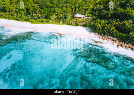 Photo aérienne de paradise tropical bizarre à Anse Bazarca beach l'île de Mahé, Seychelles. Sable blanc, eau turquoise, palmiers, rochers de granit Banque D'Images