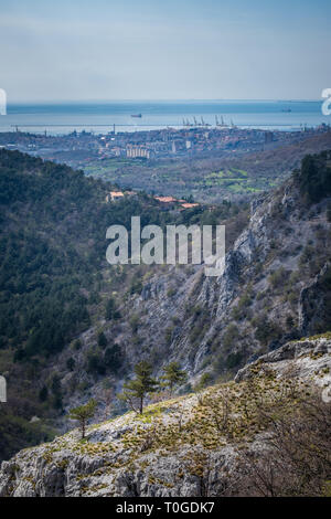 Vue depuis un rocher avec des arbres dans le parc national de Rosandra zone industrielle de Trieste avec des grues de port marine en Italie, Europe Banque D'Images