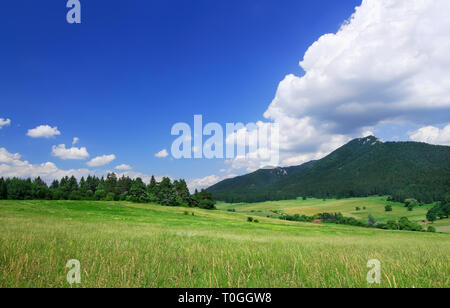 Sur la montagne, des champs verts, le ciel bleu et les nuages blancs dans l'arrière-plan Banque D'Images