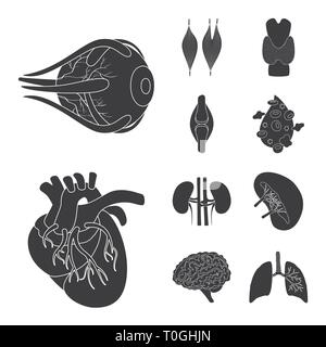 Muscle dorsal,oeil,os,sang,coeur,rein,,cerveau,oeil,pulmonaire organes,,moelle,plasma,tendon,cardiologie,esprit,urinaire,trachée,cornée,tissus,ligament,os,cell,haricots,renseignement,cardiovasculaire pulmonaire,recherche,couches,,laboratoire d'organes internes,anatomie,médical,des,santé,biologie,scientifique,,set,icône,illustration,isolé,collection,design,élément,graphique,,signer,Black,de simples vecteurs vecteur , Illustration de Vecteur
