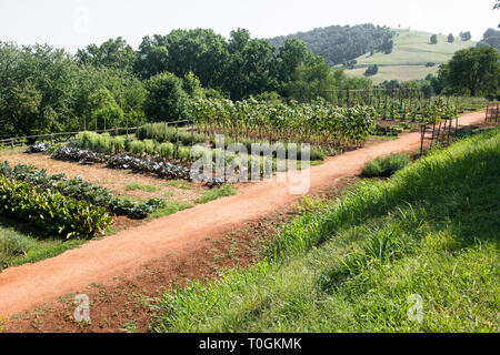 Long View de terrasse et montagne voisine hill, Monticello. Thomas Jefferson's jardin expérimental de légumes et de fleurs. Pas de structures. Pas de personnes. Banque D'Images