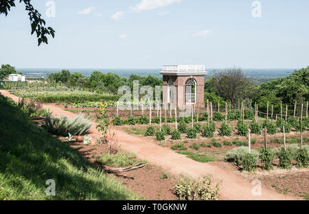 Monticello experimental de légumes et de fleurs jardin avec Jefferson brick pavilion dans le centre d'une terrasse. Ciel bleu et chaude journée d'été. Jalonnés de plantes. Banque D'Images