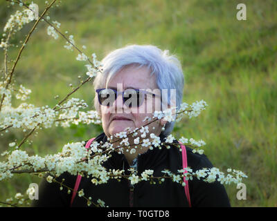 A senior woman avec des cheveux blancs qui pose à côté d'un arbre qui fleurit au printemps Banque D'Images