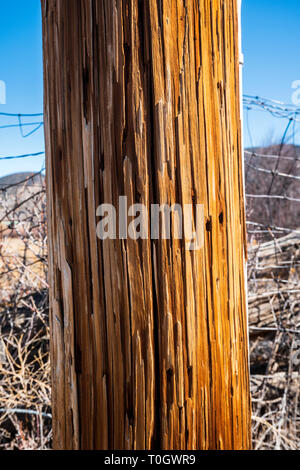 Close up de poteau téléphonique en bois patiné Banque D'Images