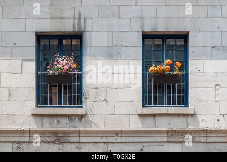 Le vieux Montréal, Québec, Canada. Deux vieilles fenêtres avec des paniers de fleurs en osier marron, bleu des volets en bois peint gris sur l'édifice de brique, Saint Paul Est. Banque D'Images