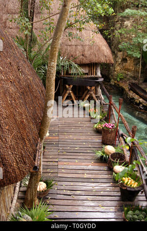 Parque de Xcaret en Cancun au Mexique. .Garsa Rosada. ..**Francisco Morales/DammPhoto.com/NortePhoto**. Banque D'Images