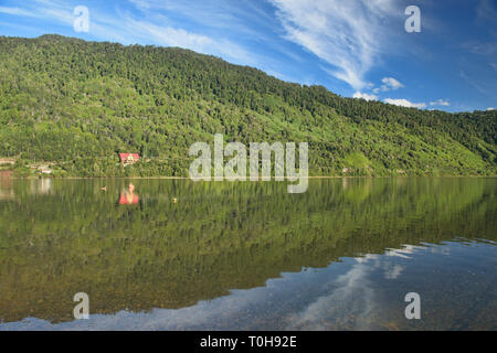 Lone home sur le fjord Ventisquero Puyuhuapi, son, Patagonie, Chili, Aysen Banque D'Images