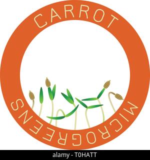 Microgreens carotte. La conception des emballages de semences, l'élément rond au centre. Supplément de vitamines, de nourriture vegan Illustration de Vecteur