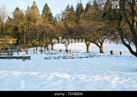 Burnaby Mountain Park en hiver. Burnaby, Colombie-Britannique, Canada (agglomération de Vancouver). Banque D'Images