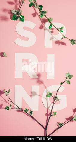 Mise en page créative avec l'inscription Printemps et branches en fleurs sur fond pastel. Miminimalism Banque D'Images