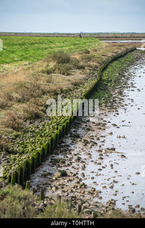 Vues de la Norfolk Coast Path Sentier National près de Barnham Overy Staithe, East Anglia, Angleterre, Royaume-Uni. Banque D'Images