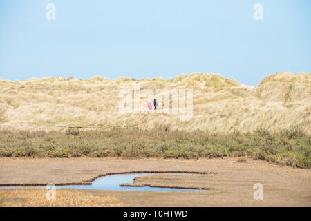 Dunes de sable où le sentier national de la côte Norfolk de Burnham Overy Staithe atteint la mer, East Anglia, Angleterre, Royaume-Uni. Banque D'Images