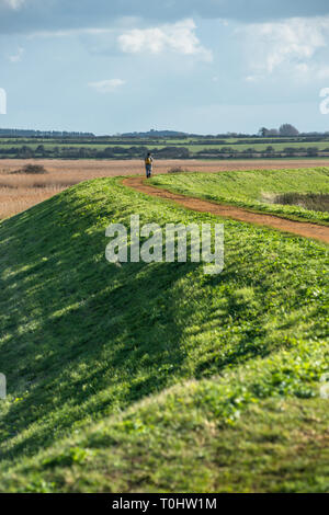Vues de la Norfolk Coast Path Sentier National près de Barnham Overy Staithe, East Anglia, Angleterre, Royaume-Uni. Banque D'Images