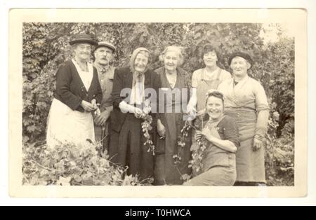 Carte postale originale et magnifique des années 1930 ou 1940, composée de plusieurs amateurs de sauts souriants, de famille et d'amis, qui se sont amusés pendant des vacances de travail, dans un jardin de houblon, des journées passées, de nombreux personnages, des cours de travail, Kent, Angleterre, Royaume-Uni Banque D'Images