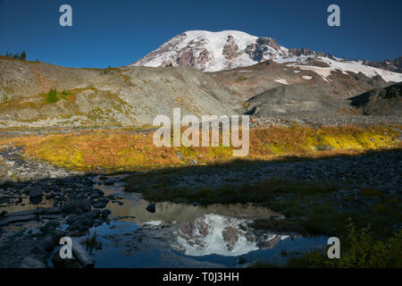 WA15995-00...WASHINGTON - Le Mont Rainier reflétant au paradis le long du ruisseau le sentier Skyline à Mount Rainier National Park. Banque D'Images