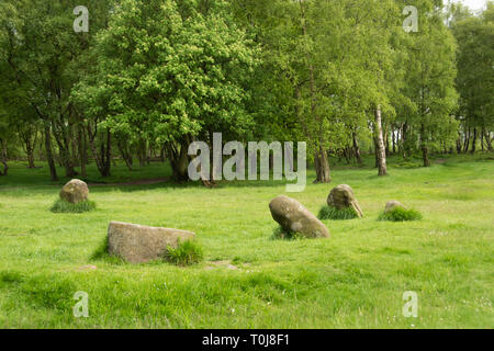 Le Derbyshire, UK - 03 juin 2016 : Sarcen ou pierres à neuf Mesdames Stone Circle, un monument de l'âge du Bronze sur Stanton Moor Banque D'Images