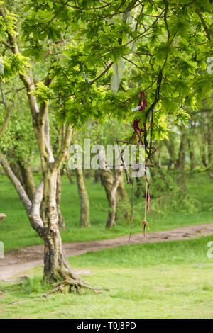 Le Derbyshire, UK - 03 juin 2016 : Les offres liées à un mémorial sacré Arbre de chêne qui se trouve à côté de neuf femmes stone circle sur Stanton Moor Banque D'Images