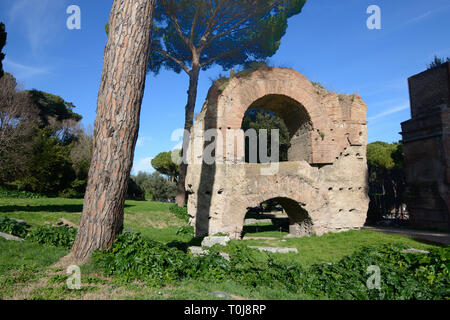 Ruines de l'Aqua Claudia ancien aqueduc romain, l'aqueduc ou Nero (Arcus) nerioniani sur colline du Palatin ou jardins Palatin Rome Italie Banque D'Images