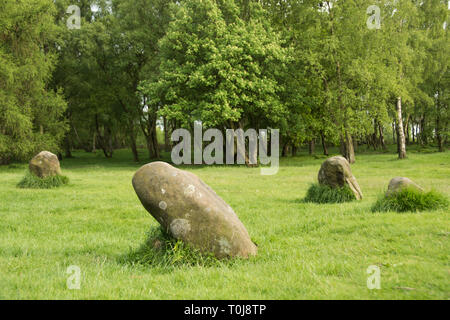 Le Derbyshire, UK - 03 juin 2016 : Sarcen ou pierres à neuf Mesdames Stone Circle, un monument de l'âge du Bronze sur Stanton Moor Banque D'Images