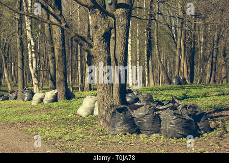 Sacs à déchets sont noires avec des ordures à proximité. entretien du territoire. La propreté dans la ville. La propreté du parc. La collecte des déchets Banque D'Images