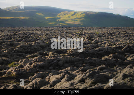 Champ de lave et de roches de lave couvertes par la mousse, panorama Banque D'Images