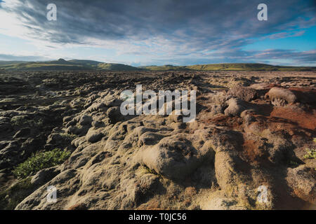 Champ de lave et de roches de lave couvertes par la mousse, panorama Banque D'Images